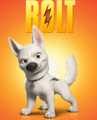 bolt