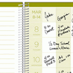 busybodybook1