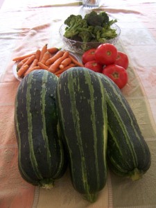 August2009 202