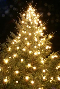 90_15_57---Christmas-Tree_web